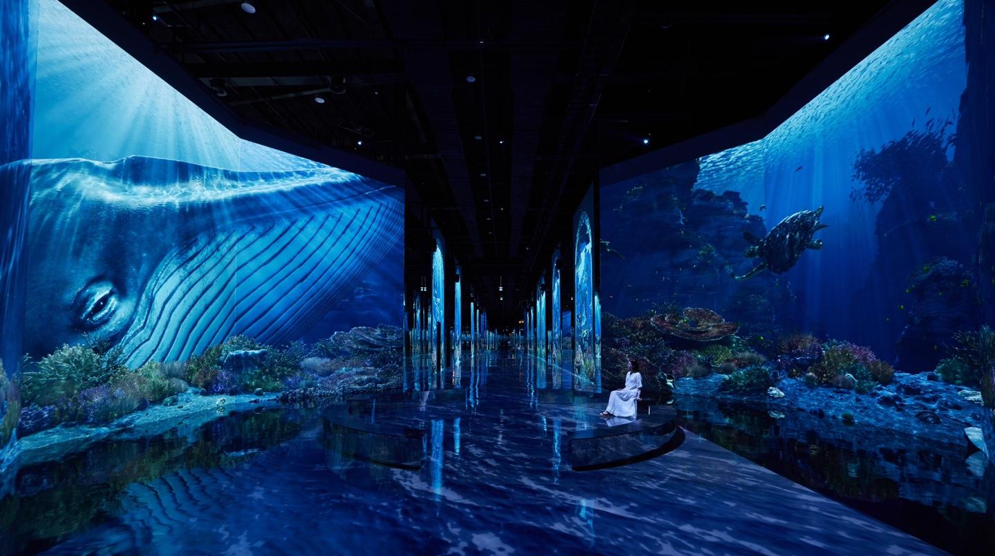 뮤지엄헤이 파주 (Museum Hei)
